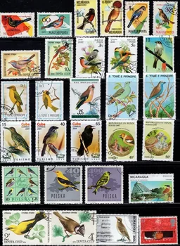 100 ШТ Разных марок с птицами из Word, Без повторов, Марки с животными, Коллекция в хорошем состоянии, Использовались с почтовой маркой