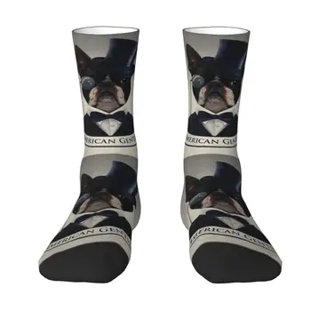 Милые мужские носки с рисунком собаки Бостон-терьера, дышащие теплые носки унисекс с 3D принтом 